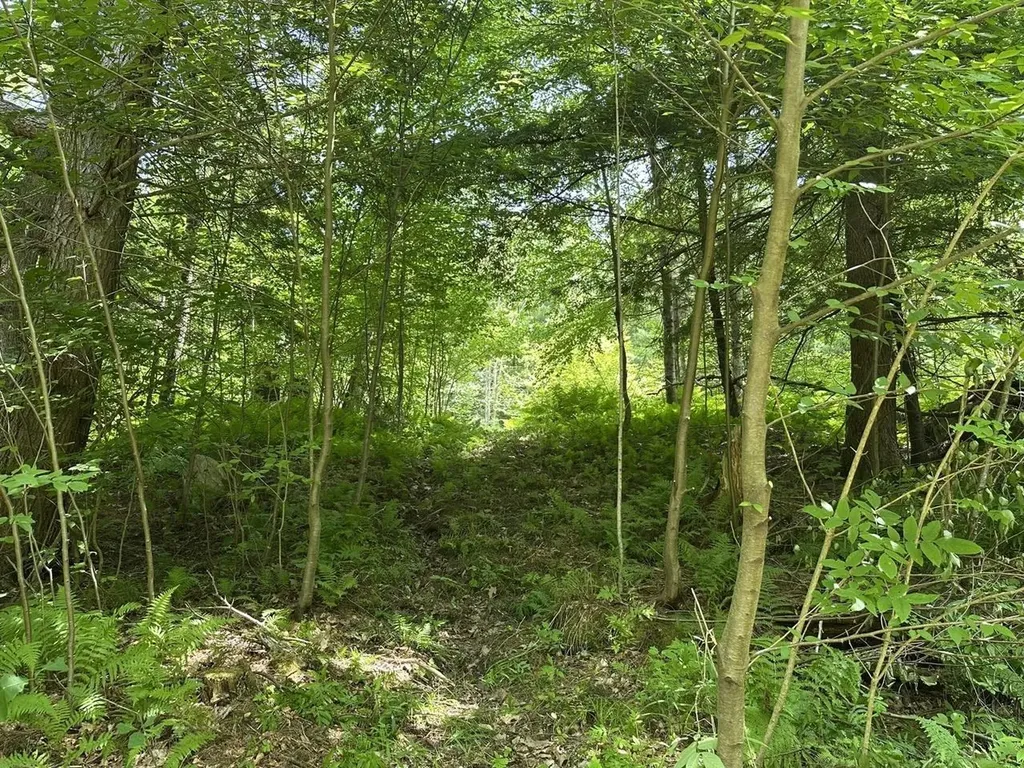 00 Vt Route 103 N Chester VT 05143