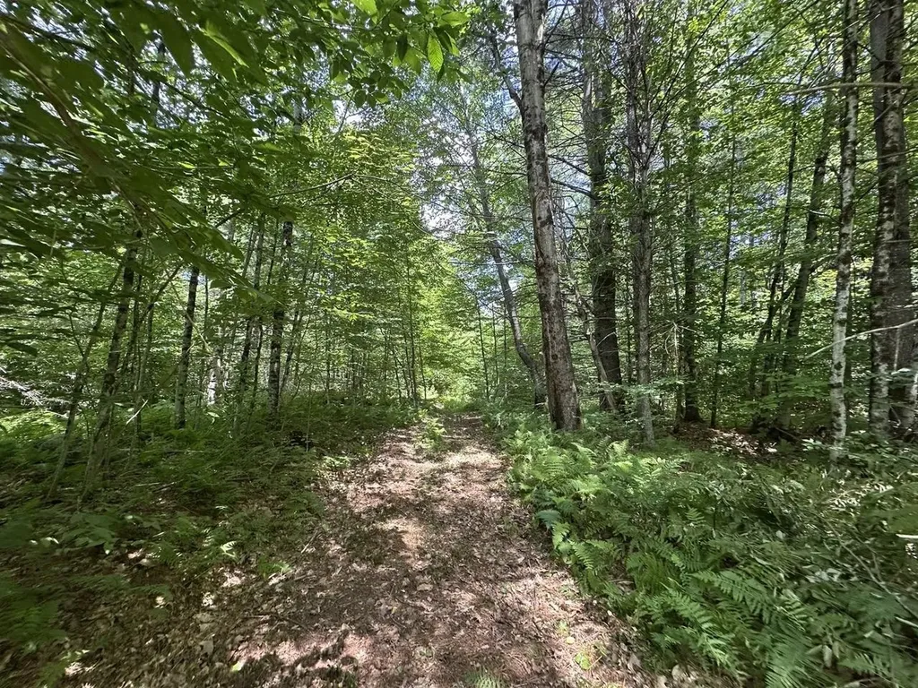 00 Vt Route 103 N Chester VT 05143