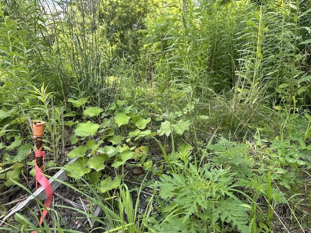 00 Vt Route 103 N Chester VT 05143