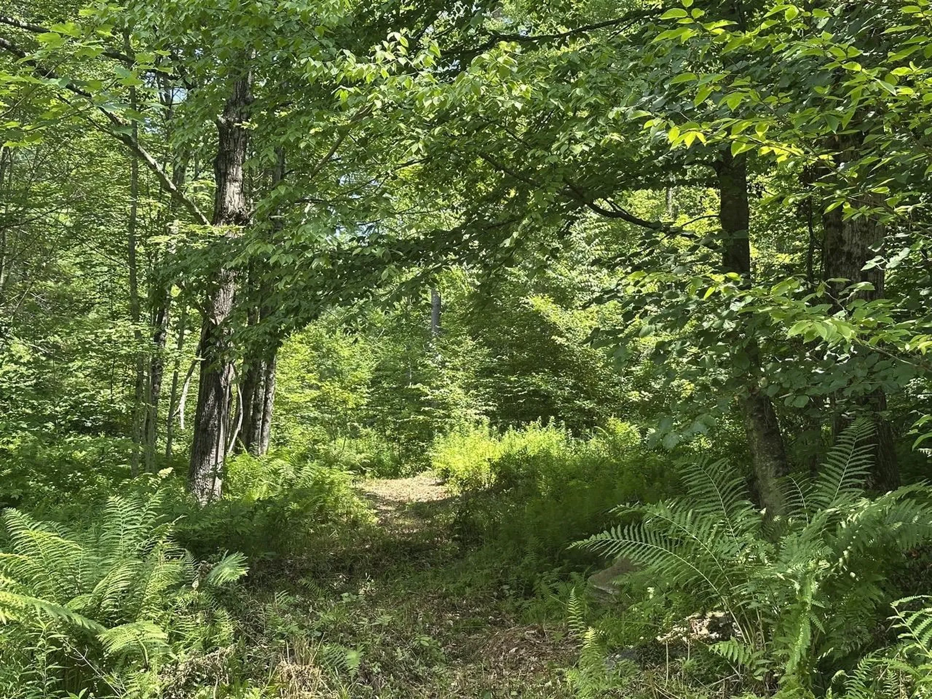 00 Vt Route 103 N Chester VT 05143