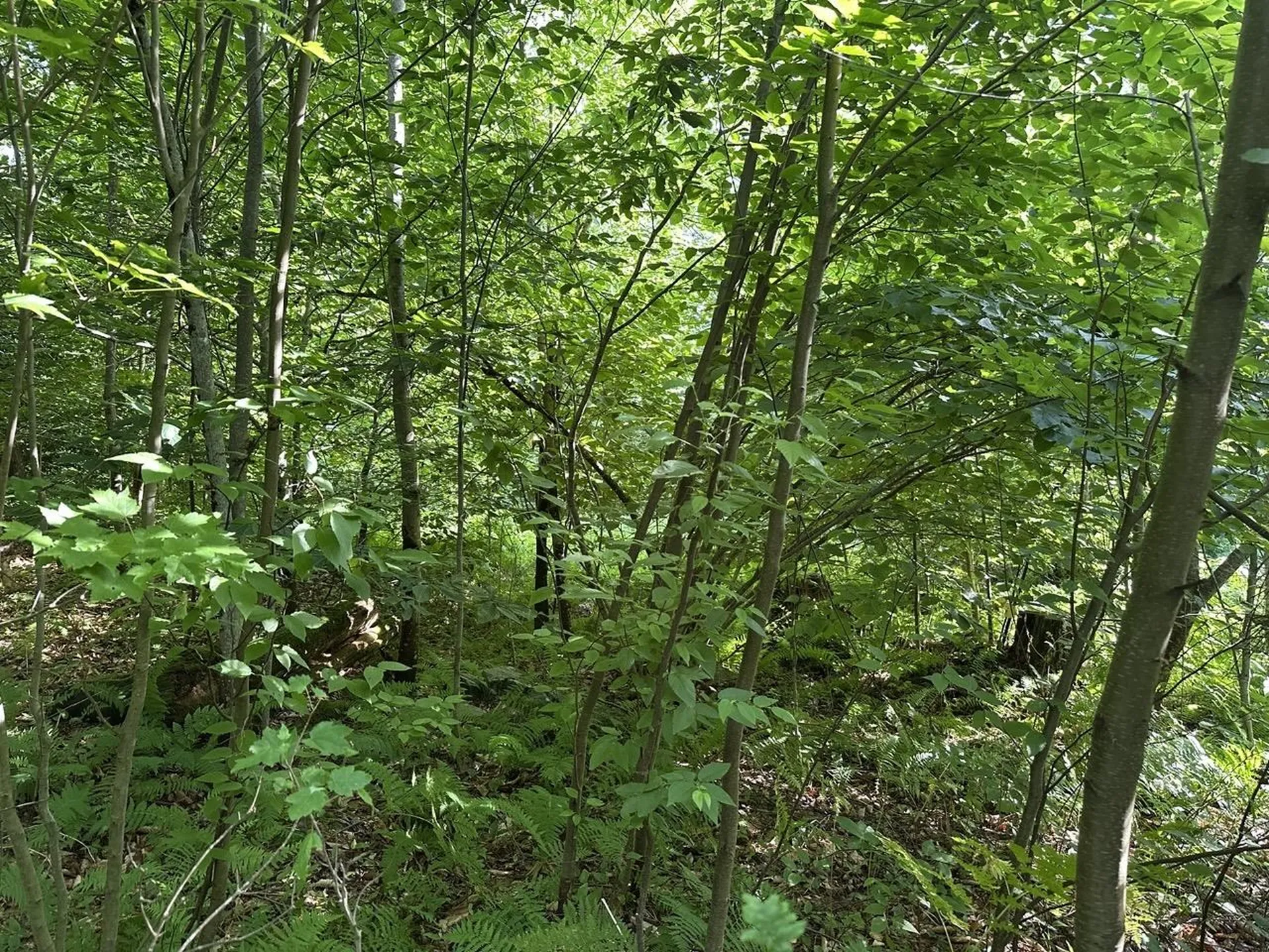 00 Vt Route 103 N Chester VT 05143