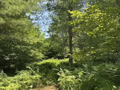 00 Vt Route 103 N Chester VT 05143