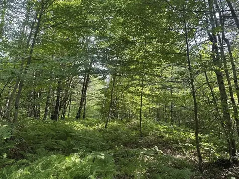 00 Vt Route 103 N Chester VT 05143