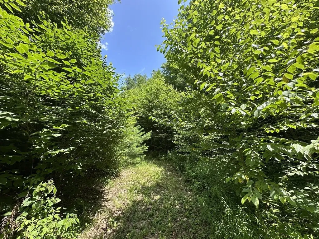 00 Vt Route 103 N Chester VT 05143