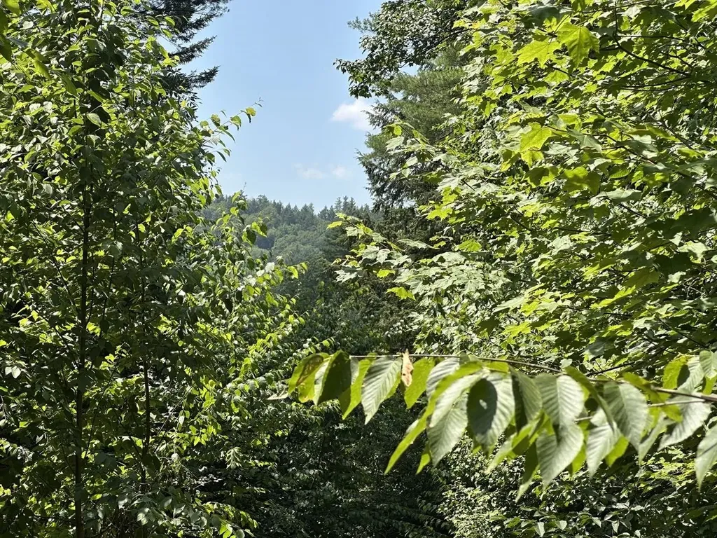 00 Vt Route 103 N Chester VT 05143