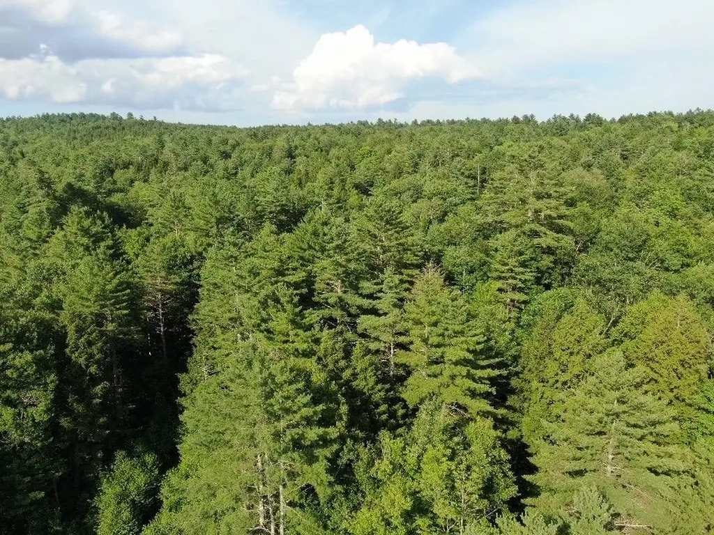 00 Vt Route 103 N Chester VT 05143