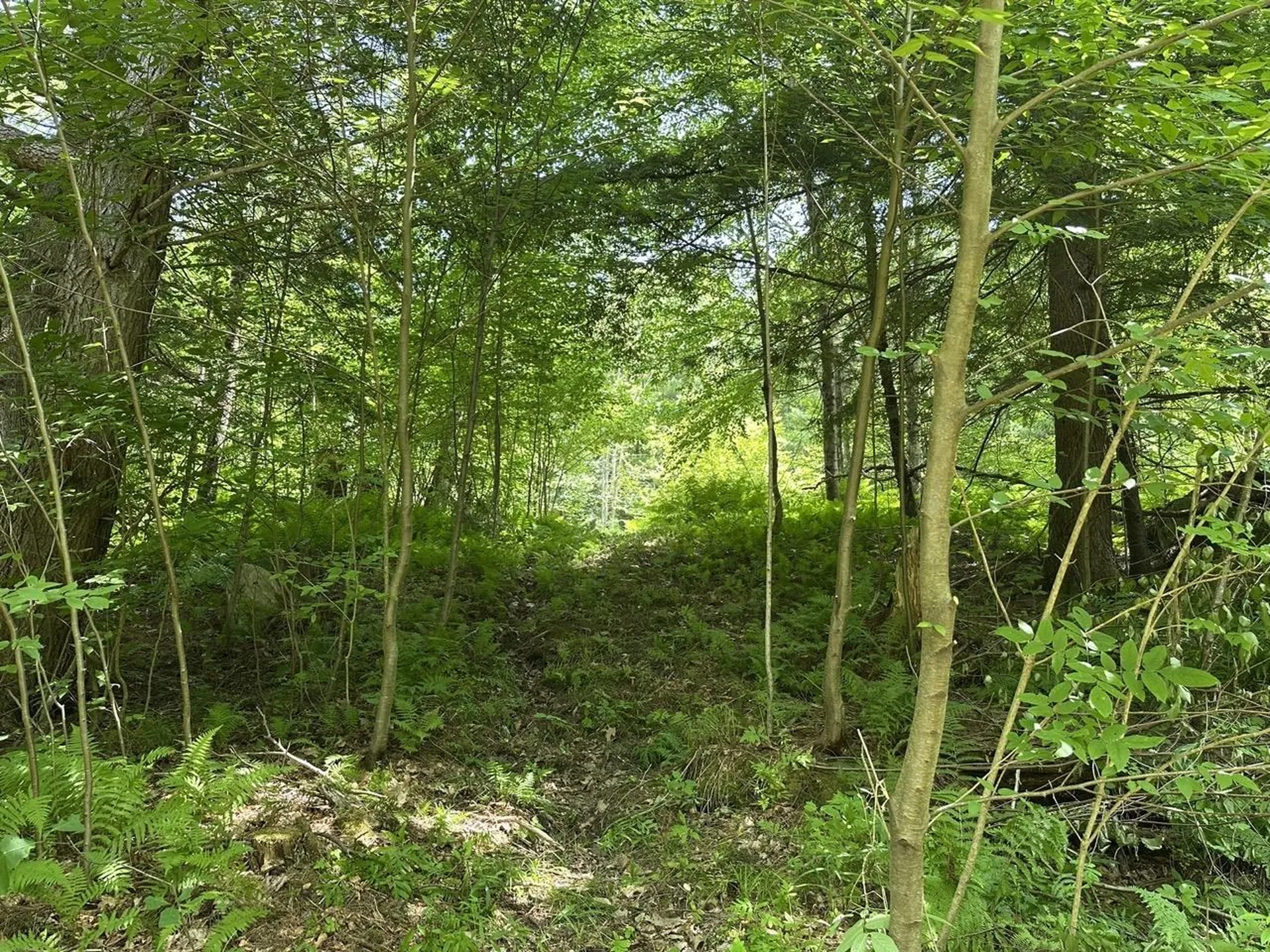 00 Vt Route 103 N Chester VT 05143