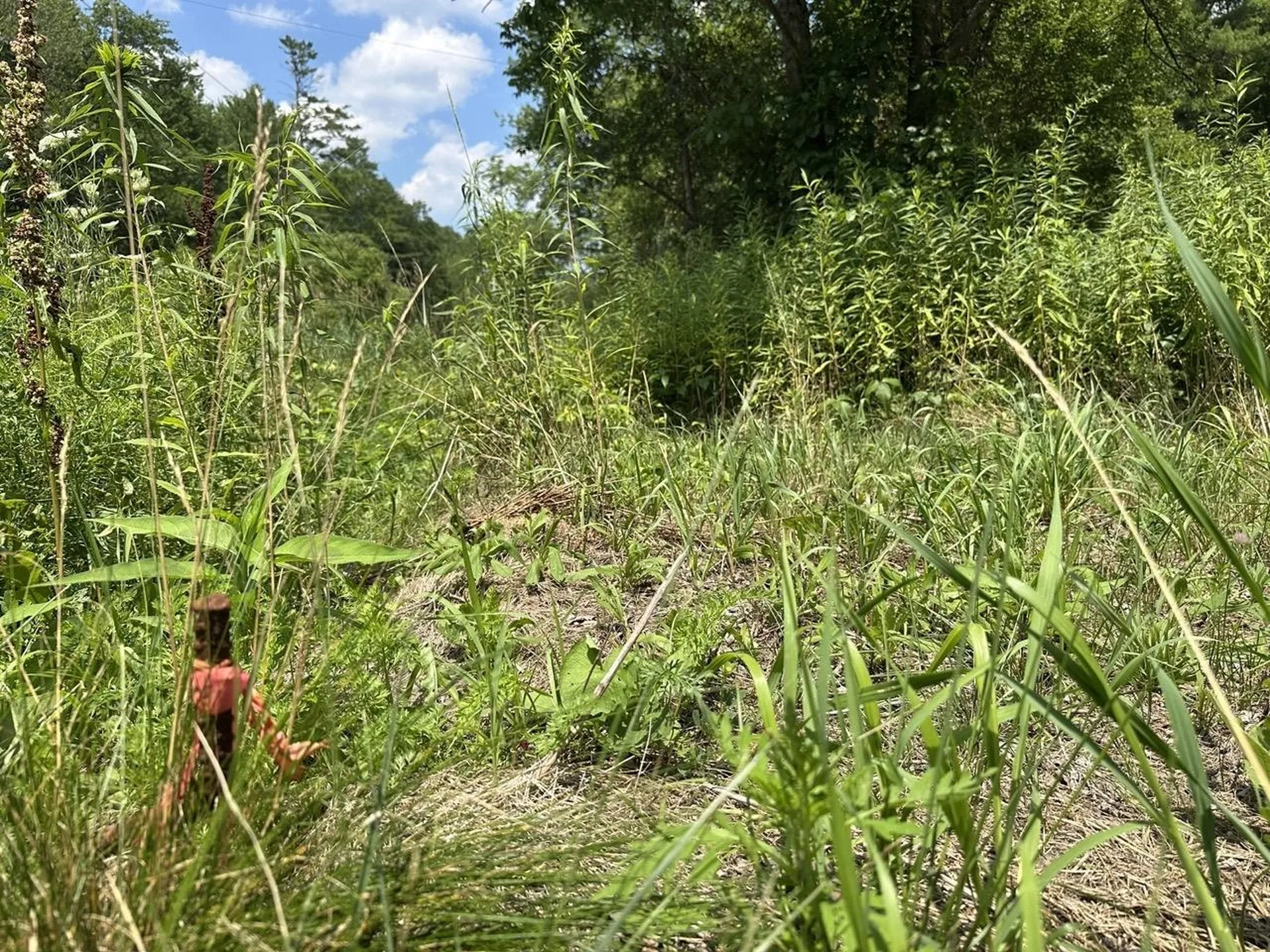 00 Vt Route 103 N Chester VT 05143