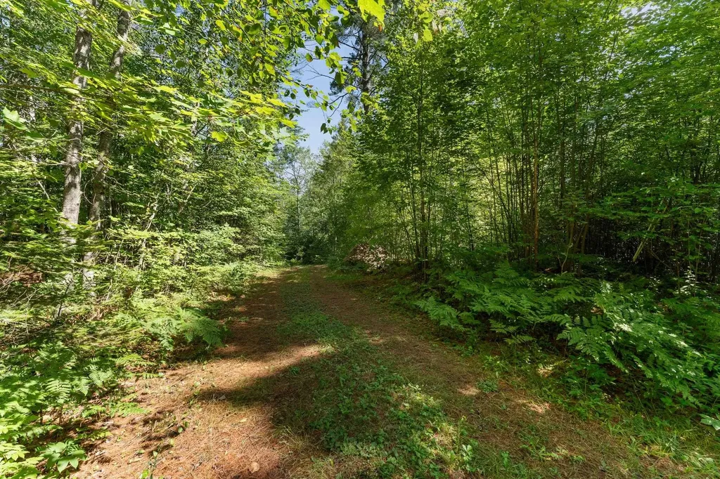 0 Hoot-holler Road Groton VT 05046