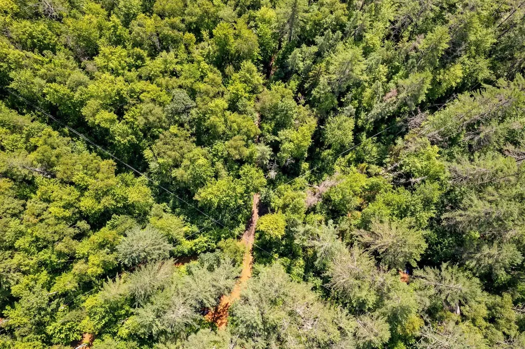 0 Hoot-holler Road Groton VT 05046