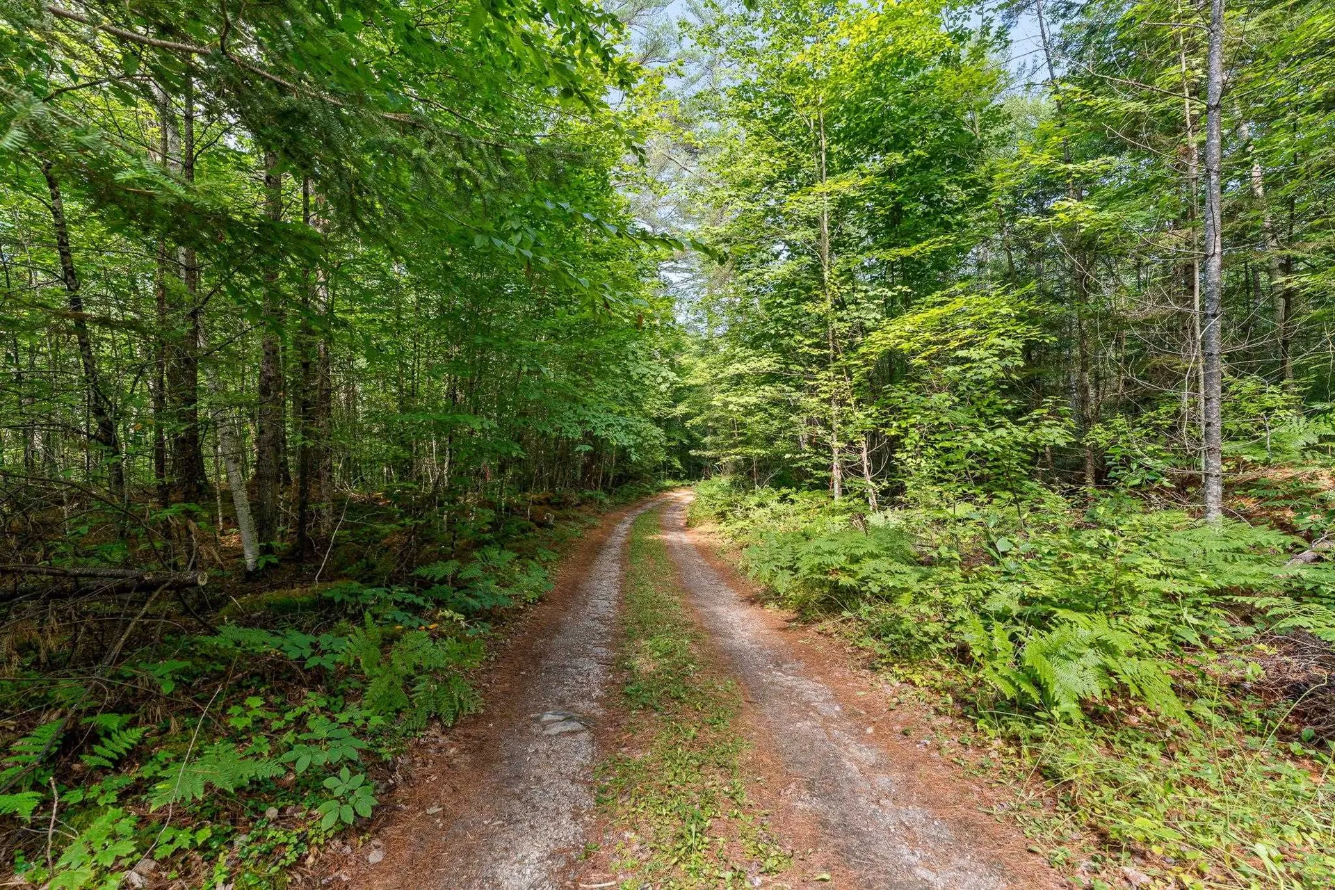 0 Hoot-holler Road Groton VT 05046