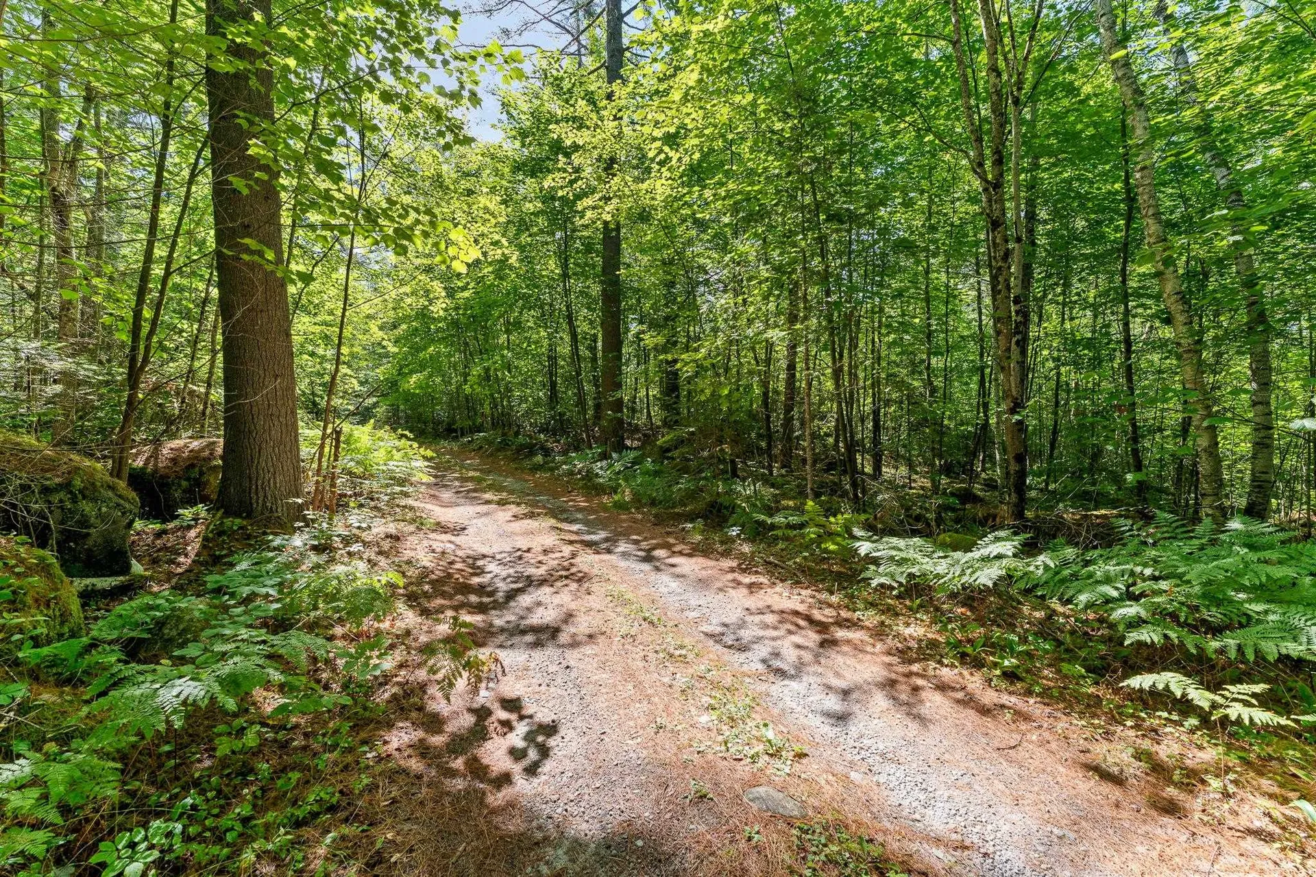 0 Hoot-holler Road Groton VT 05046