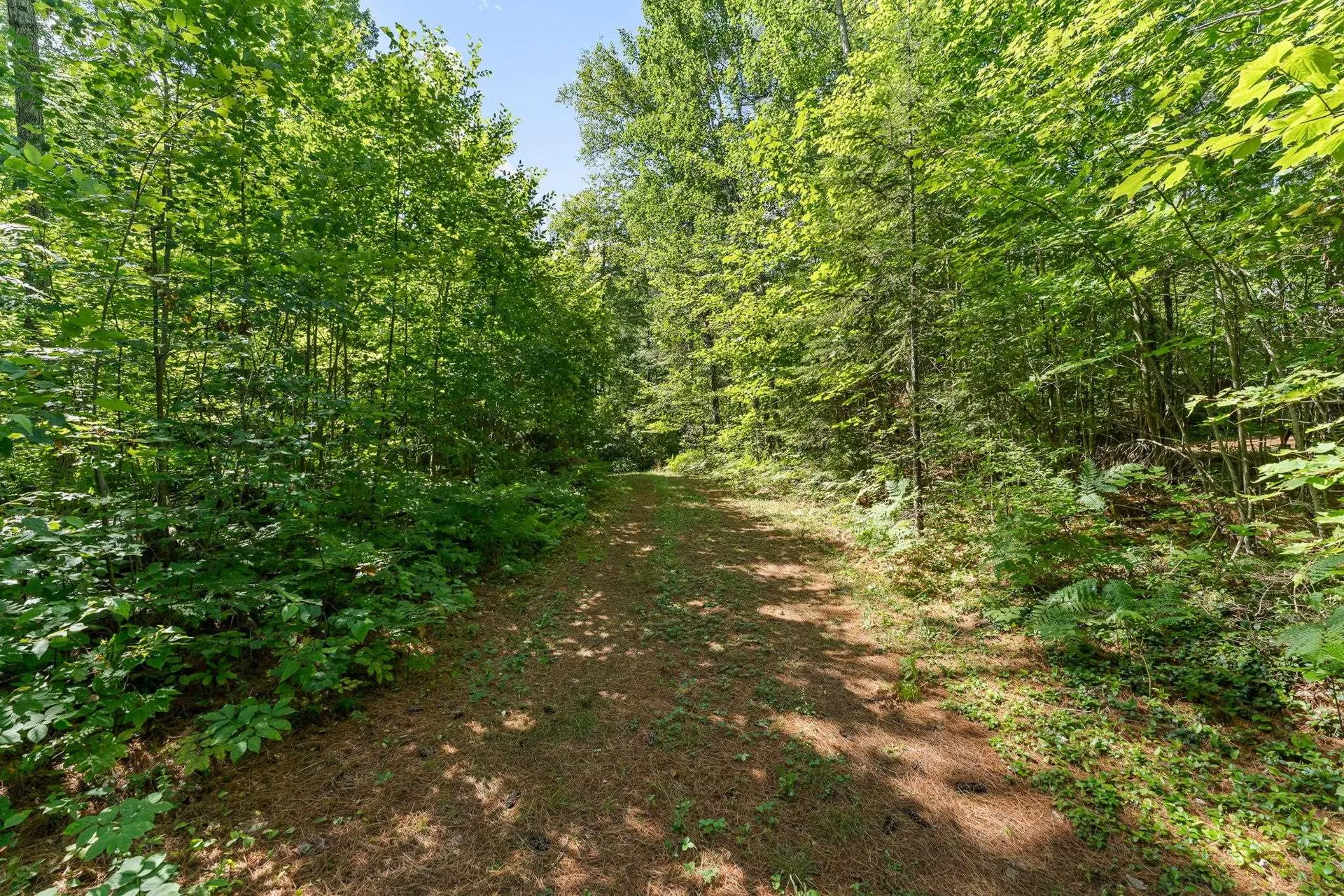 0 Hoot-holler Road Groton VT 05046