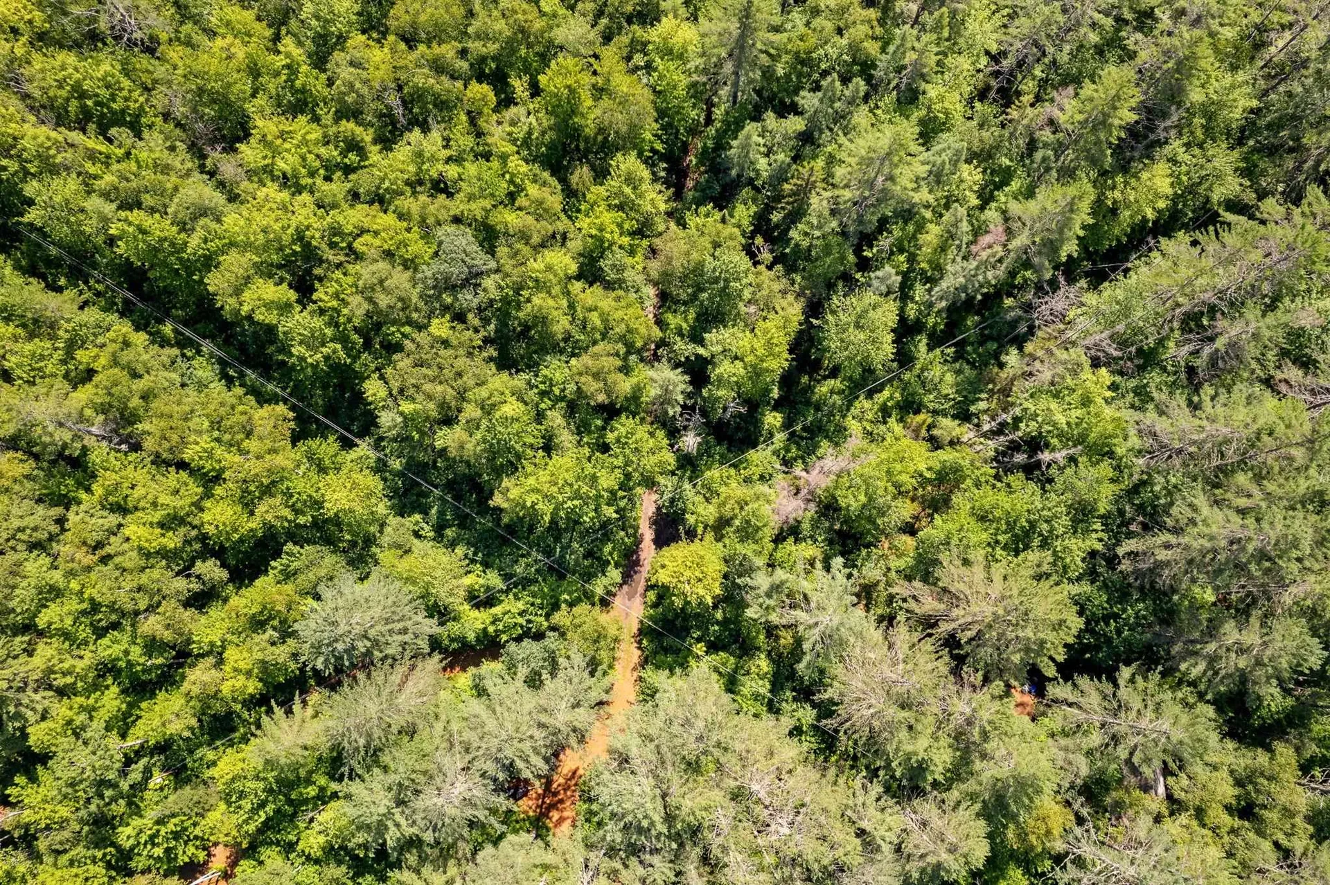 0 Hoot-holler Road Groton VT 05046