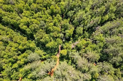 0 Hoot-holler Road Groton VT 05046