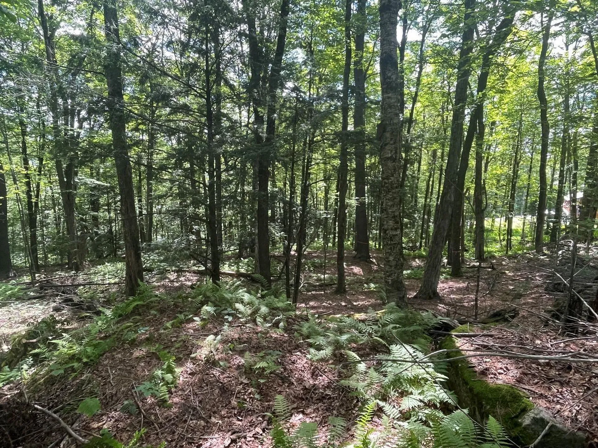 00 Kennedy Brook Drive Stoddard NH 03464