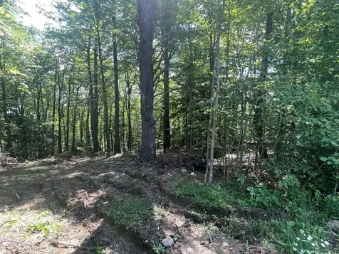00 Kennedy Brook Drive Stoddard NH 03464