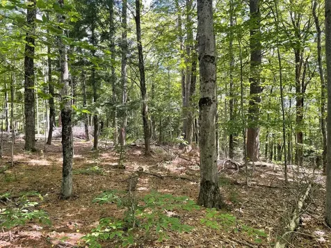 00 Kennedy Brook Drive Stoddard NH 03464