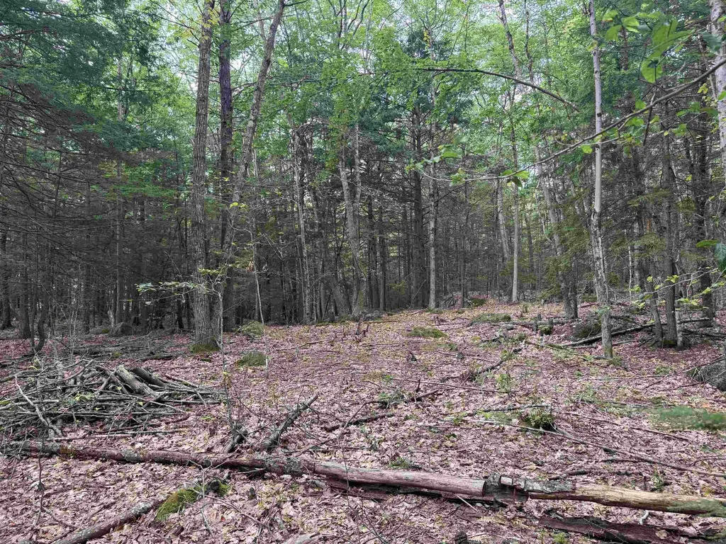 Lot R11-11-1 Forest Road Hancock NH 03449