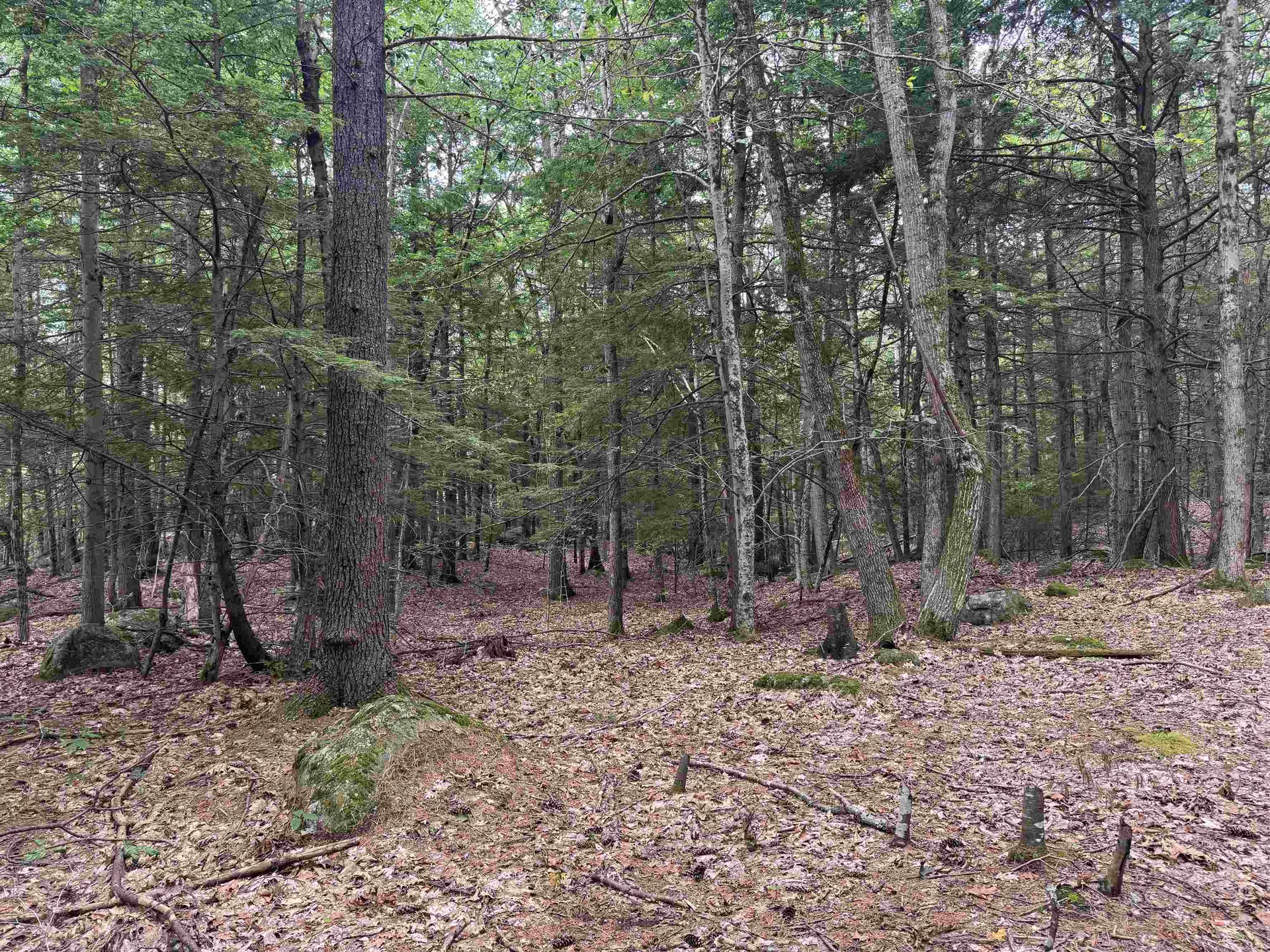 Lot R11-11-1 Forest Road Hancock NH 03449
