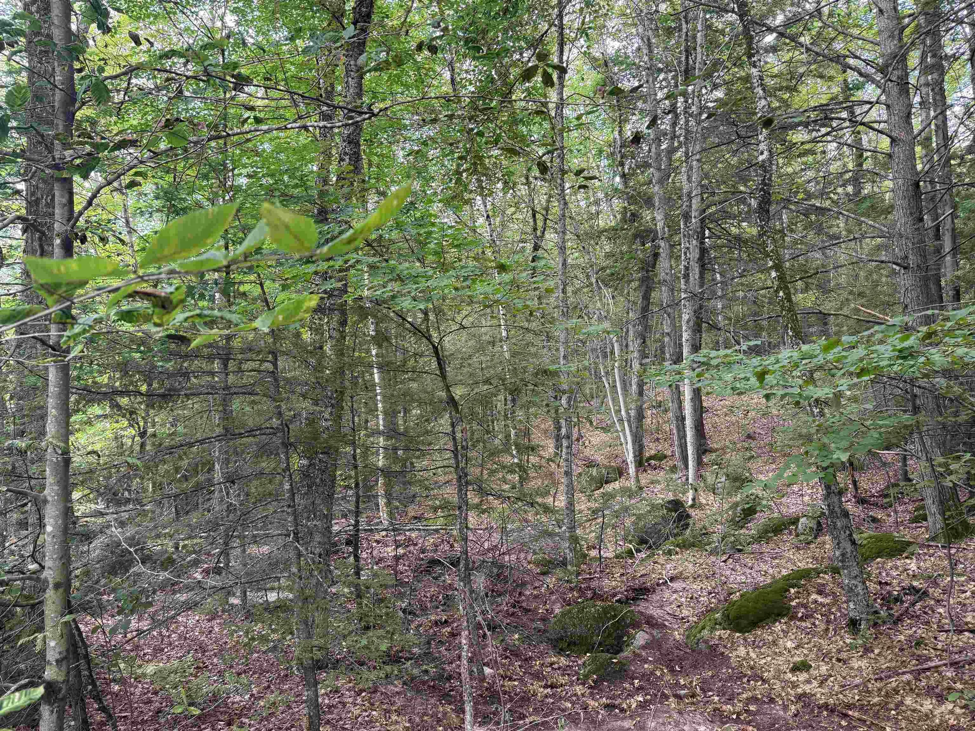 Lot R11-11-1 Forest Road Hancock NH 03449