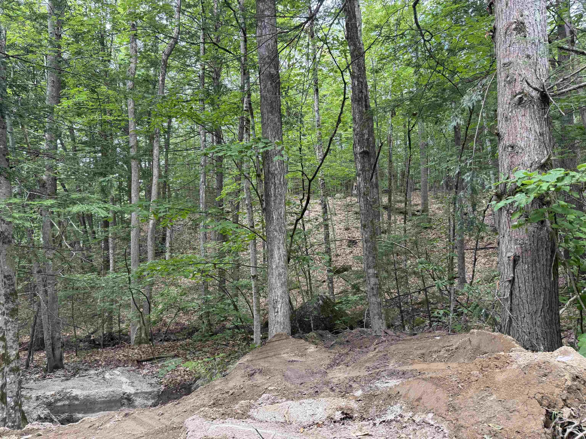 Lot R11-11-1 Forest Road Hancock NH 03449