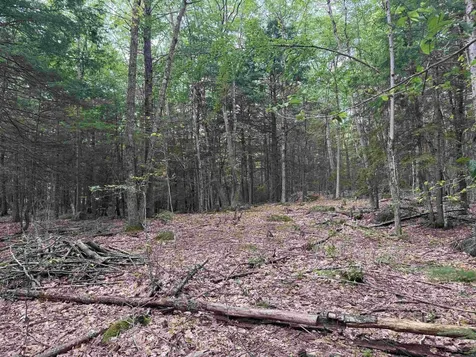 Lot R11-11-1 Forest Road Hancock NH 03449