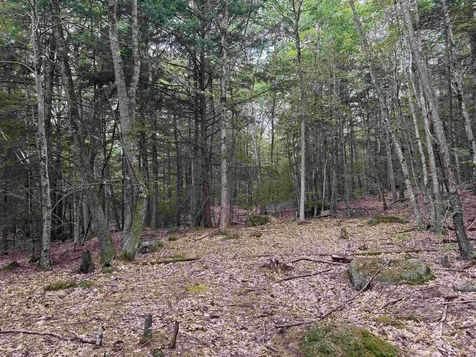 Lot R11-11-1 Forest Road Hancock NH 03449