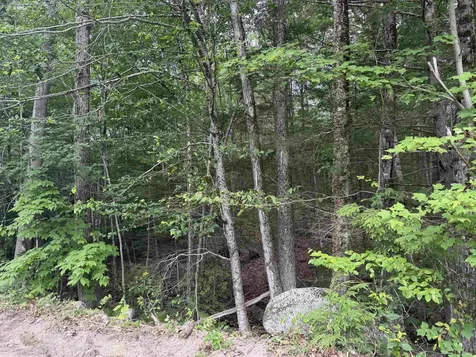 Lot R11-11-1 Forest Road Hancock NH 03449
