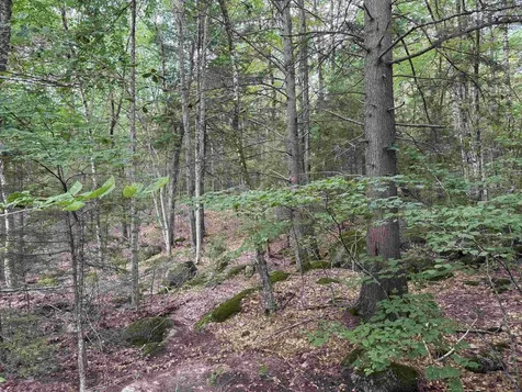 Lot R11-11-1 Forest Road Hancock NH 03449