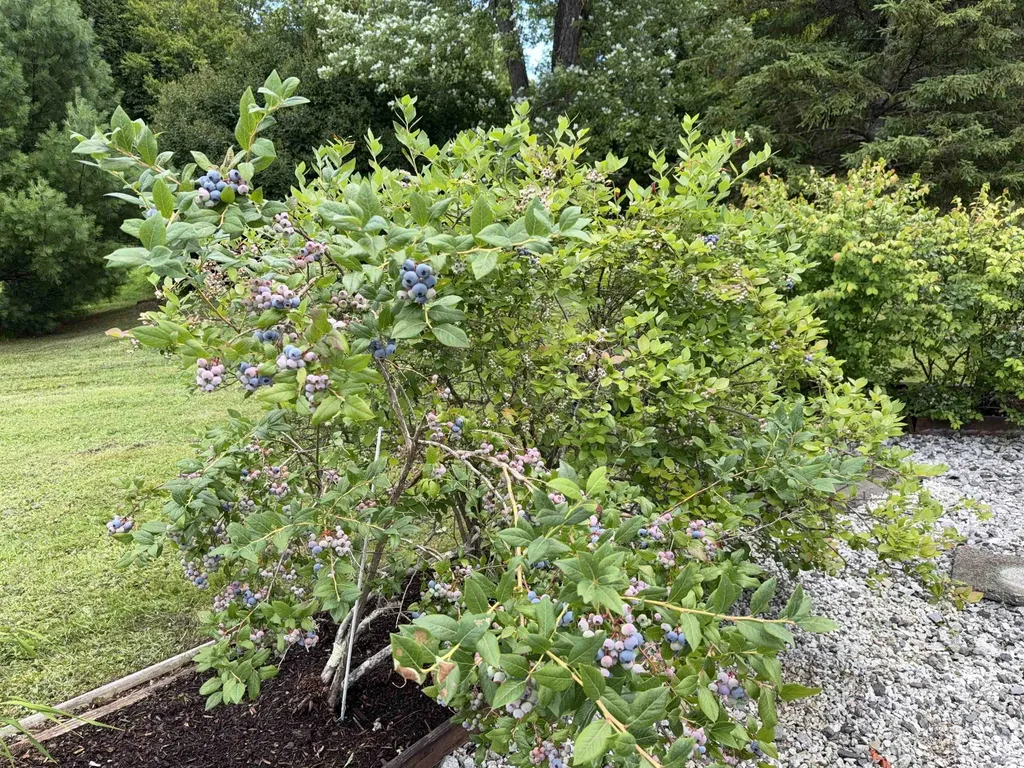 173 Middle Road Barre Town VT 05654