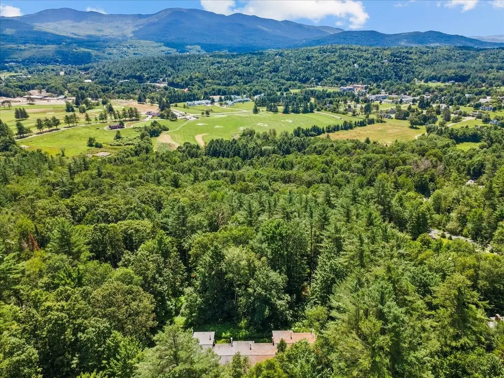 67 Fox Hill Road Stowe VT 05672