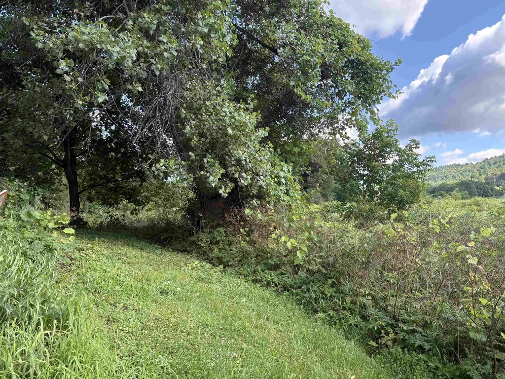 196 Peth Road Randolph VT 05060