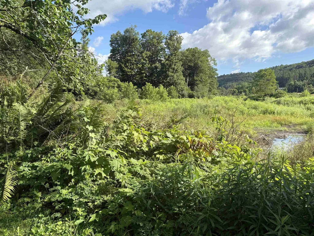 196 Peth Road Randolph VT 05060