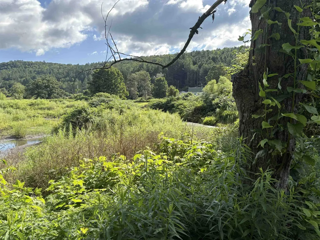 196 Peth Road Randolph VT 05060