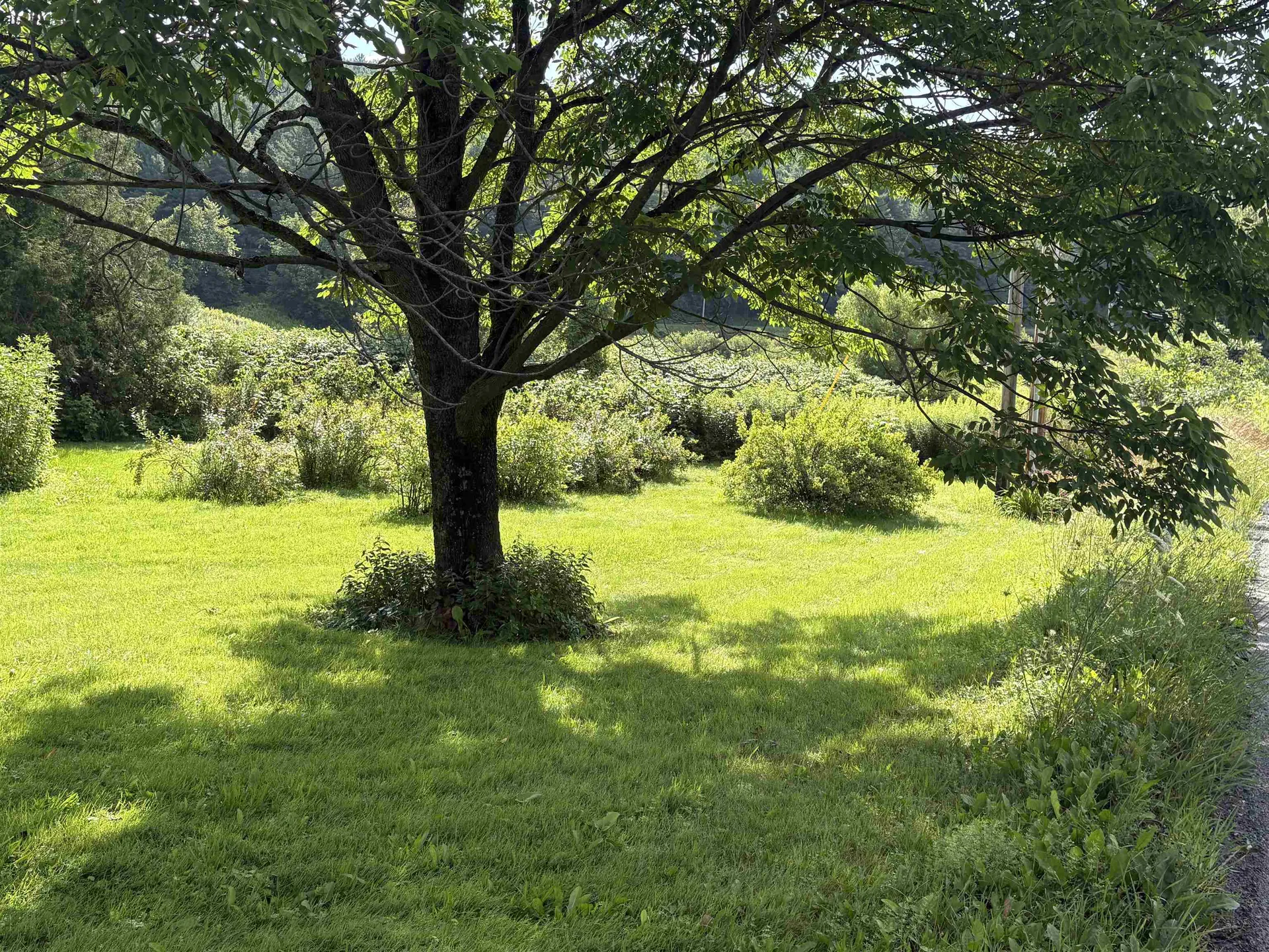 196 Peth Road Randolph VT 05060