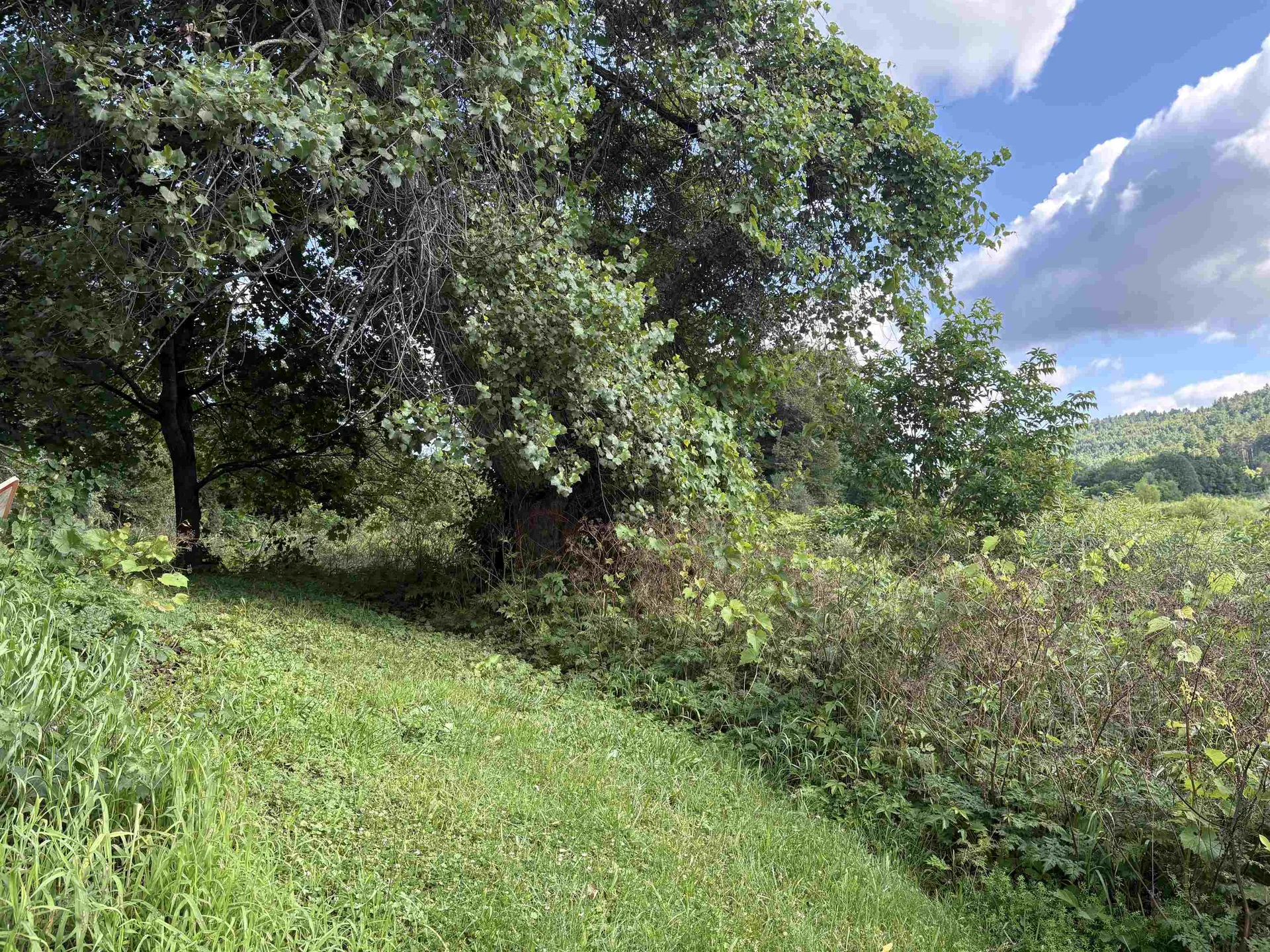 196 Peth Road Randolph VT 05060