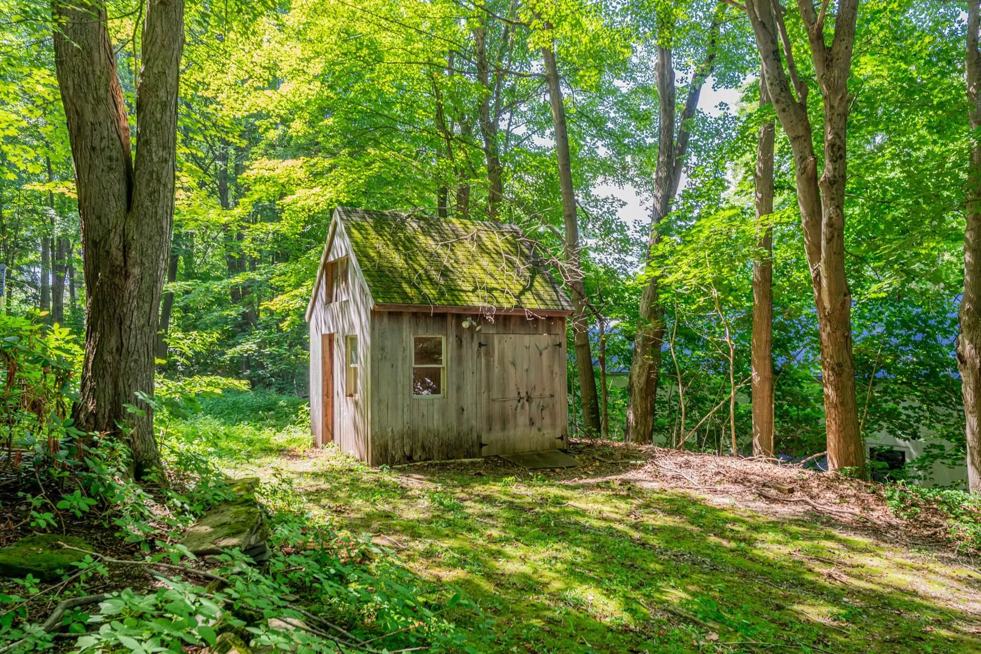 62 Dorset Village Lane Dorset VT 05251