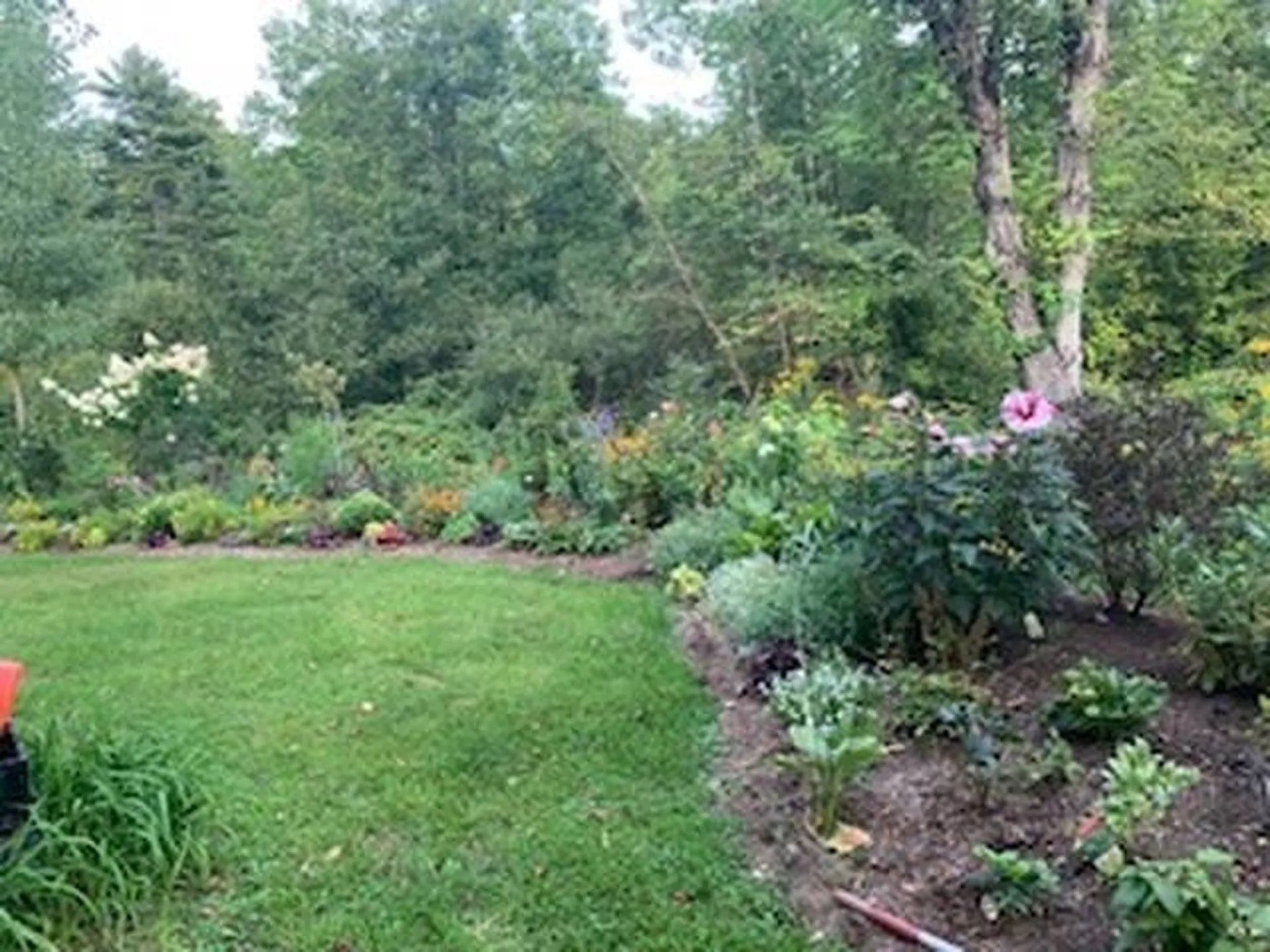 23 Brook Road Rockingham VT 05154