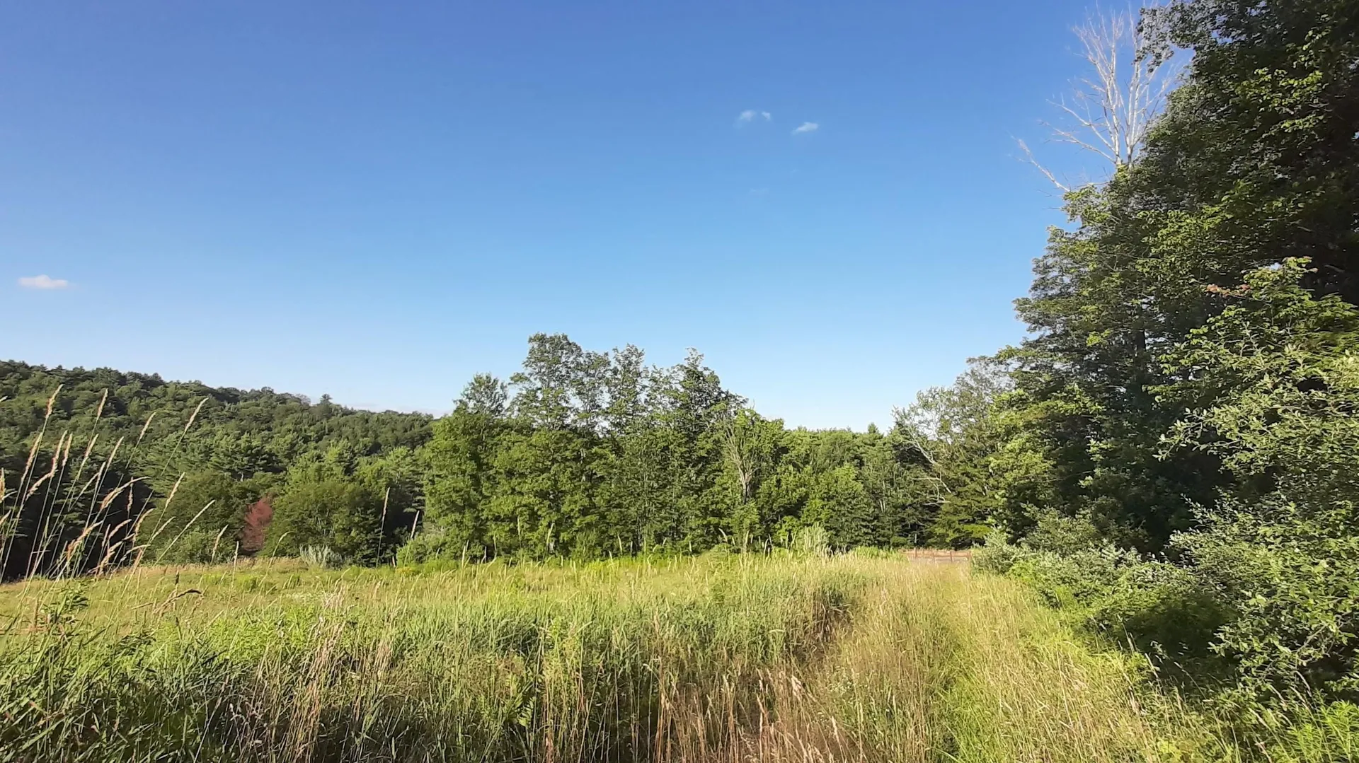 003 Massey Road Springfield VT 05156