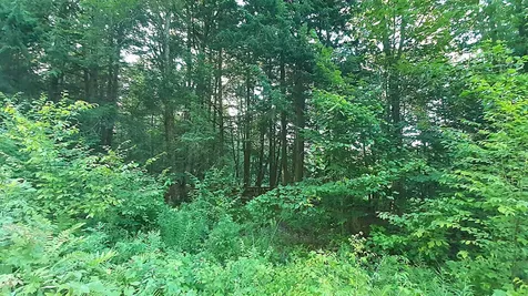 003 Massey Road Springfield VT 05156