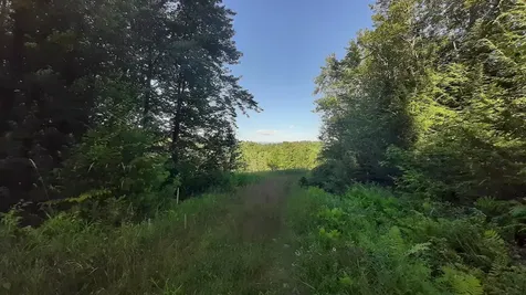 003 Massey Road Springfield VT 05156