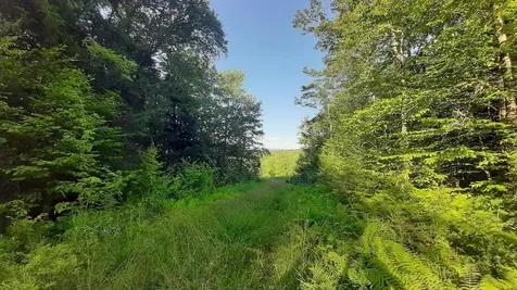 003 Massey Road Springfield VT 05156