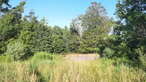 003 Massey Road Springfield VT 05156