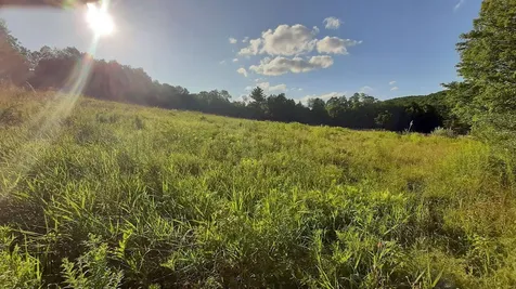 003 Massey Road Springfield VT 05156