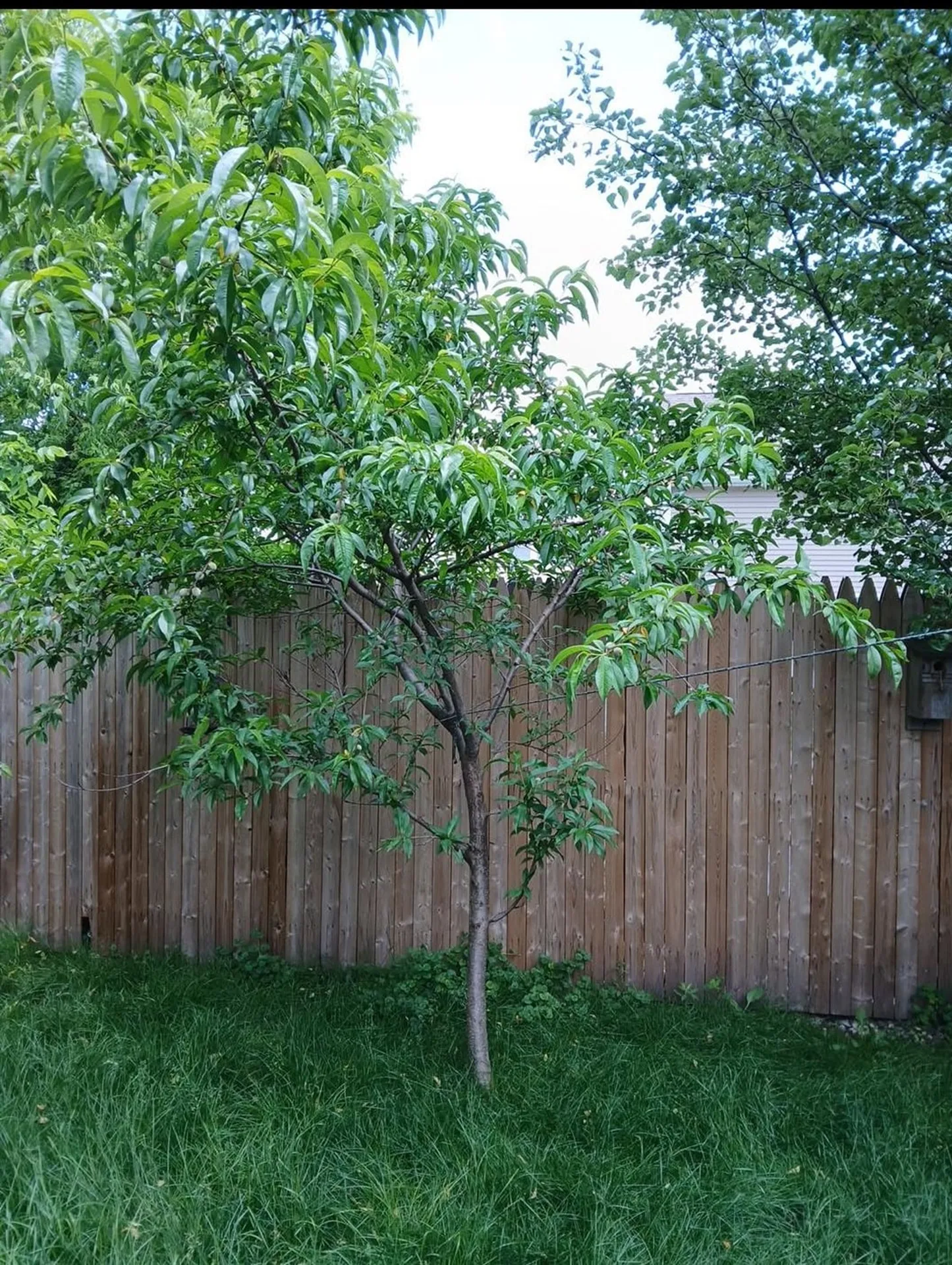 20 Tilton Street Manchester NH 03102