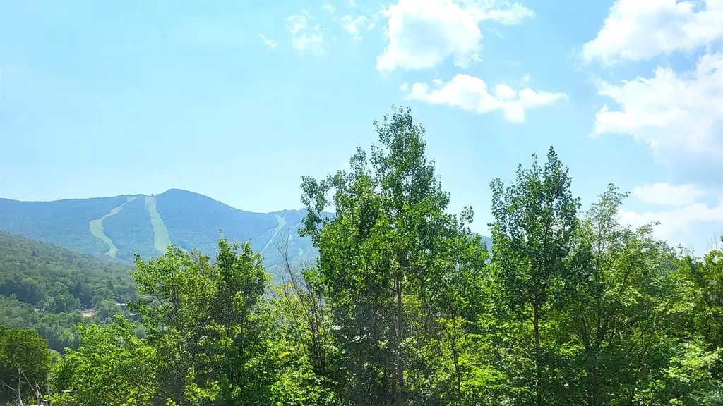 23 Birch Road Lincoln NH 03251