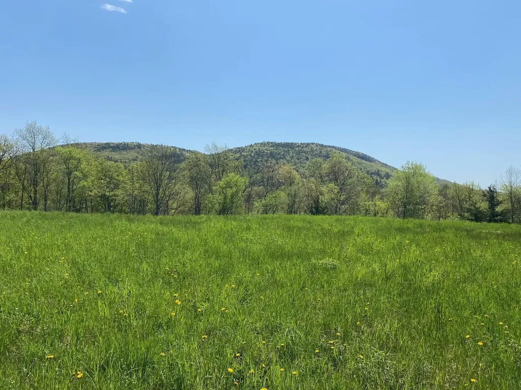 7998 Main Road West Haven VT 05743