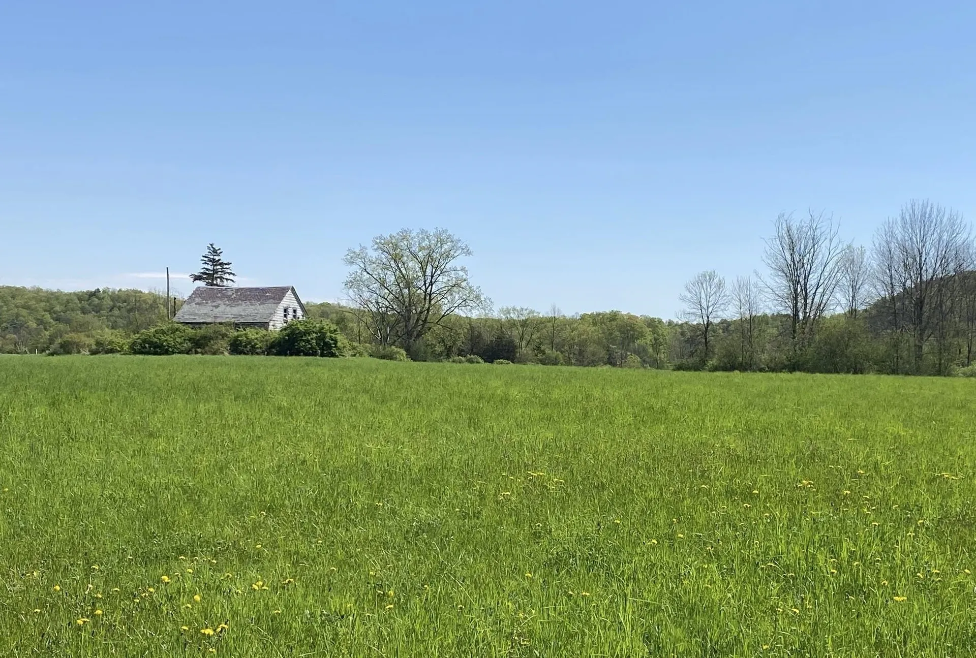 7998 Main Road West Haven VT 05743