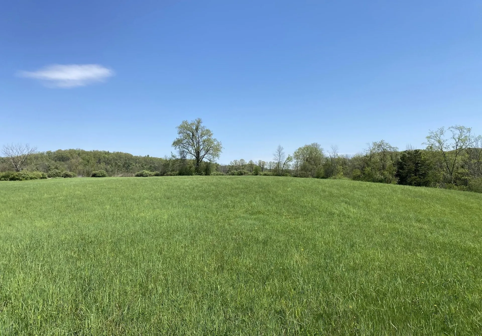 7998 Main Road West Haven VT 05743